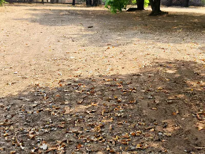 32 Acres of Land — Ikeja, Lagos