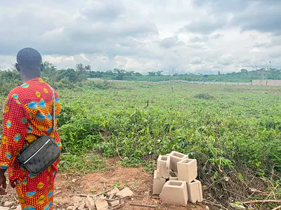 12 Acres of Land — Opposite Christopher University, Mowe Ofada, Ogun