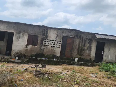 Poultry and Fish Farm — Tunga Street, Dei-Dei, Abuja