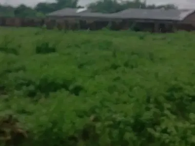 150FT by 200FT Land — Etete Layout, Off Limit Road GRA, Benin, Oredo, Edo
