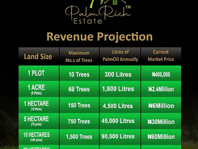Oil-Palm Plantation Farm Land — Opeji Abeokuta, Odeda, Ogun