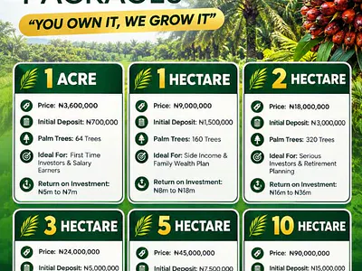 Agricultural Land — Iseyin, Oyo