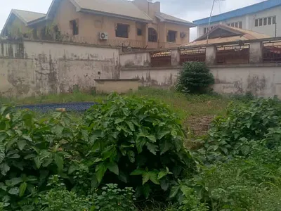Mixed Used Land Facing the Express — Royal Garden Estate, Ajah, Lagos