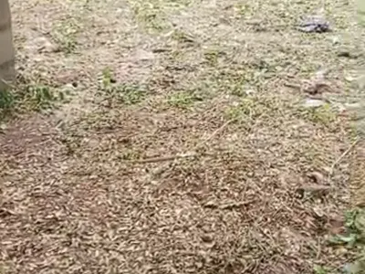 Land — Sunshine Estate, Behind Blenco, Sangotedo, Ajah, Lagos