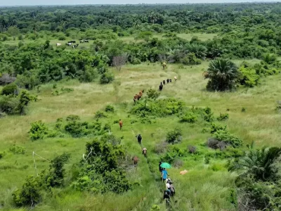 Plots and Acres of Rice Farmland — Iworo Community, Badagry, Lagos