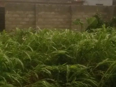 2 Acres Commercial Land — Coca-Cola Road, via Ojuoore, Sango Ota, Ogun