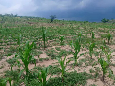 Comprehensive Development Land — Near Naf Estate, Zuma Ii, Bwari, Abuja