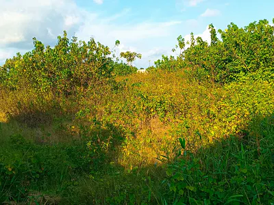 1 Acre of Ready to Build Land in a Prime Location — Orerokpe, Osubi, Warri, Delta