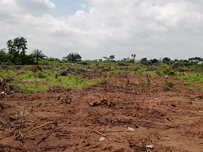 Land in Gateway Park, Ewekoro, Ogun State — Itoro-Ewekoro Beside D.S Adegbenro Polytechnic, Ewekoro, Ogun