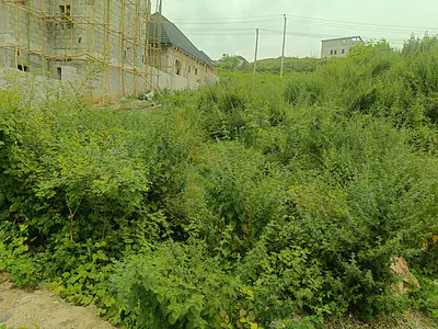 Exclusive 300SQM Plot of Land in an Estate (Extendable) — Maitama 2, Maitama District, Abuja