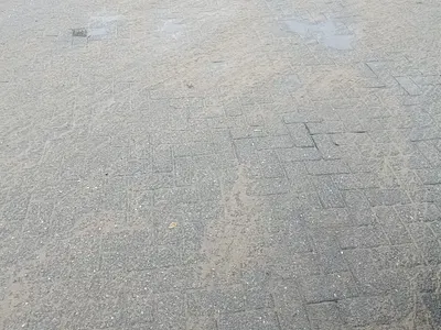Very Urgent 830 SQM Plot — Lekki, Lagos