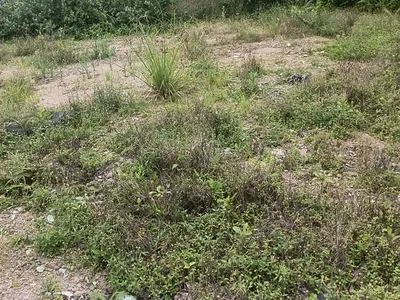 Residential Land in Secured Estate — Ogba, Ikeja, Lagos