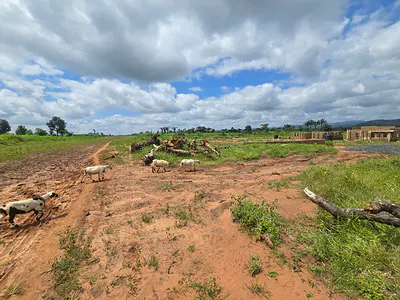 Strategically Positioned Plots of Land (R of O Documents) — Enugu Palm Garden City, Trans-Ekulu Annex, Enugu, Enugu
