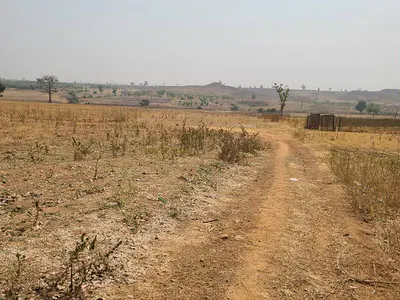 20.60 Hectares of Land — Central Business District, Abuja