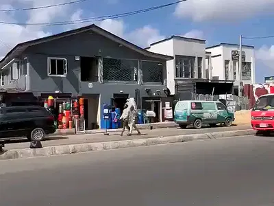 A Demolishable Commercial Bungalow Building on a Plot of Land — Ojuelegba, Surulere, Lagos