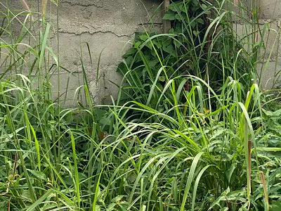750SQM Residential Land — Royal Garden Estate, Ajah, Lagos