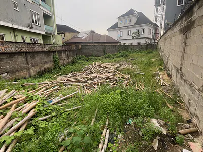 A Solid Land Located in a Serene and Develop Estate — Medina Estate, Gbagada, Lagos