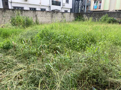 400SQM Residential Land — Startimes Estate, Okota, Isolo, Lagos