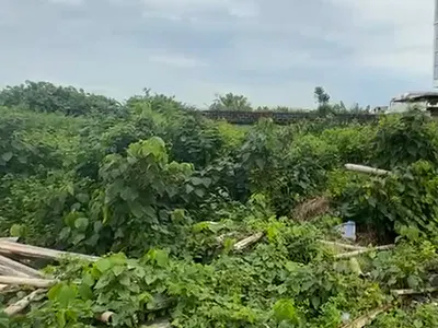 Distress 400SQM Land Video Available — Lekki, Lagos