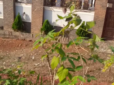 Mixed Use Land — Gods Favour Estate, Anambra, Anambra