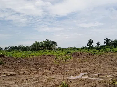 Affordable Land Available — Bewaji Imperial Estate, Epe, Lagos