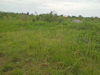 1 0 Acre of Farmland Available — Opeji, Abeokuta North, Ogun