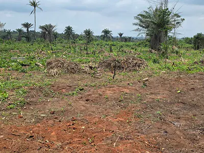 Residential Land — Ireti Residence Phase 1, Imota, Ikorodu, Lagos