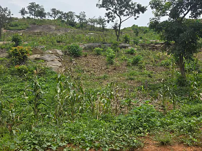 Residential Land Plot — Near Sars Office, Guzape District, Abuja