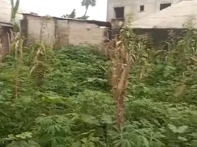Prime Buy and Build Land — Uyo, Akwa Ibom