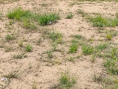 2 Plot of Land — Yakoyo, Leadway, Sangotedo, Ajah, Lagos