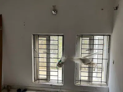 2 Bedroom Flat — Salem, Ikate, Lekki, Lagos