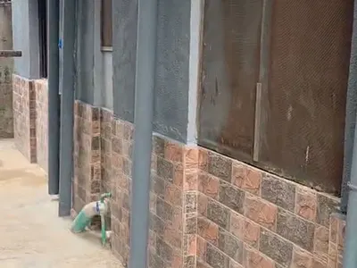 Spacious 2 Bedroom Flat