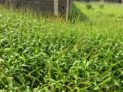2 Plots of Residential Land — Greenfield Estate, Ago Palace Way, Okota, Isolo, Lagos