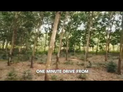 42 Hectares of Robber N Oil Palm Plantation