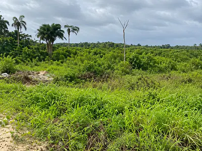 50 Acres of Land — Back of Monastery Road, Facing the Coastal Road, Lekki, Lagos