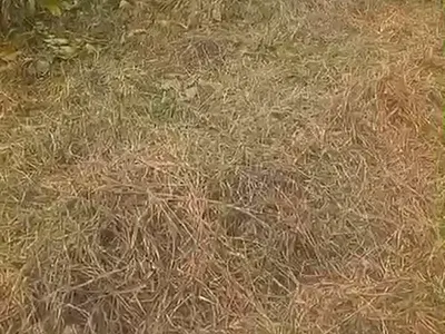 A Full Plot of Land — Millennium Estate, Gbagada, Lagos