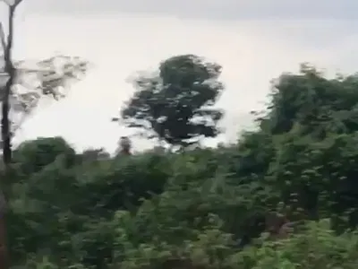 100acres of Land — Alajue Ede, Osogbo, Osun