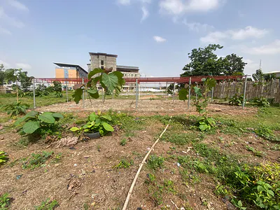 1500SQM of Residential Land — Katampe Main, Katampe, Abuja