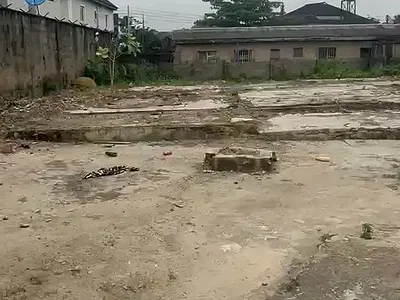 Fenced and Gated Residential Land — Sholuyi, Gbagada, Lagos