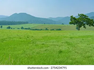 Commercial Land — Off Ahmadu Bello Way, Kado, Abuja