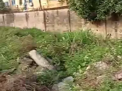 Land in a Good Location — Amuwo Odofin, Lagos