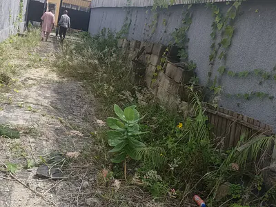 Half Plot Residential Land — Aro Baale, Ologolo, Lekki, Lagos