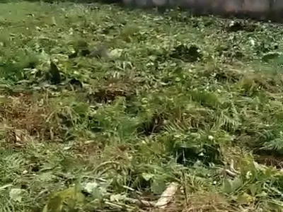 Full Plot of Land — Back of Avalon Hotel, Berger, Arepo, Ogun