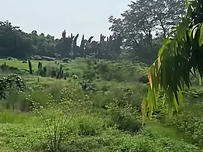 2.1 Hectares of Estate Residential Land — Games Village, Kaura, Abuja