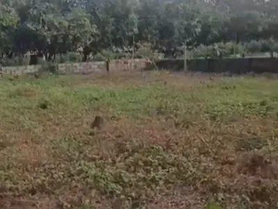 850 SQM, Residential, C of O — Kaura, Abuja