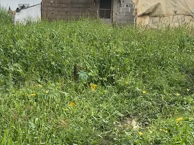 423 SQM of Land in a Strategic Environment — Faro Close Off Adegboyega Street Olowoora Behind Omole Phase2 Lagos, Olowora, Magodo, Lagos