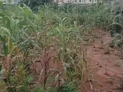 1,380.71 SQM, Residential, C of O — By Aso Radio, Katampe (Main), Katampe, Abuja