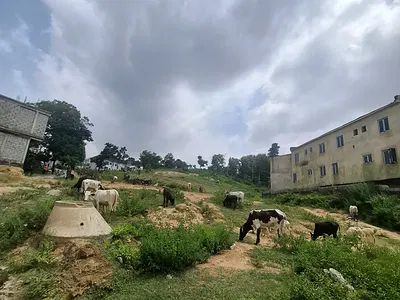 Residential Land — Guzape District, Abuja