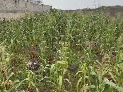 Residential Land — Behind Coza Church, Guzape District, Abuja