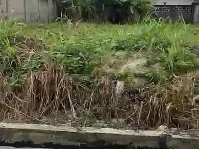 648SQM Land of Video Is Available — Peninsula Garden Estate, Lekki, Lagos